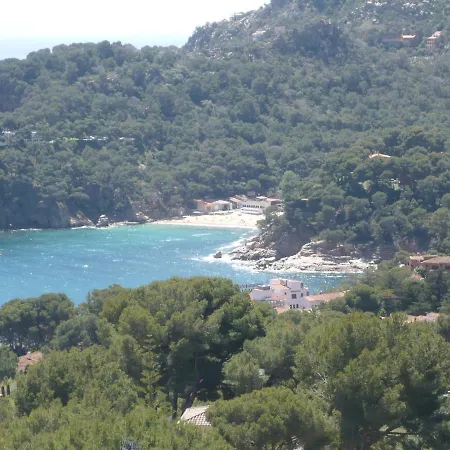 Bravaholidays-410-neptuno Apartment *